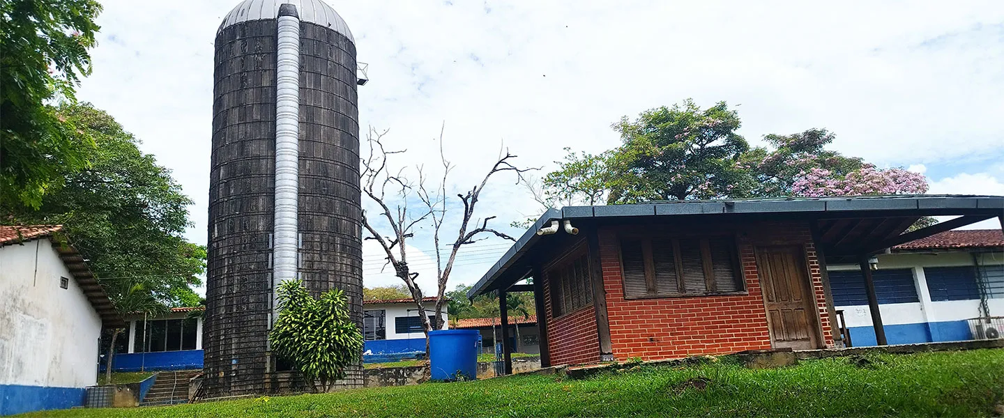 <p>Recría</p><p>Upata </p>