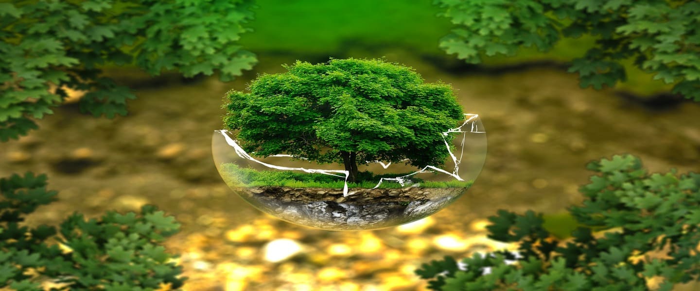 <p>Preinscripción Postgrado Ciencias Ambientales (15/05/2026 - 15/07/2026)</p>